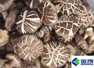 空氣能香菇烘干機 高效節(jié)能的香菇干燥解決方案